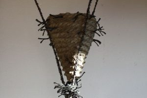 Nest #3 Sculpture